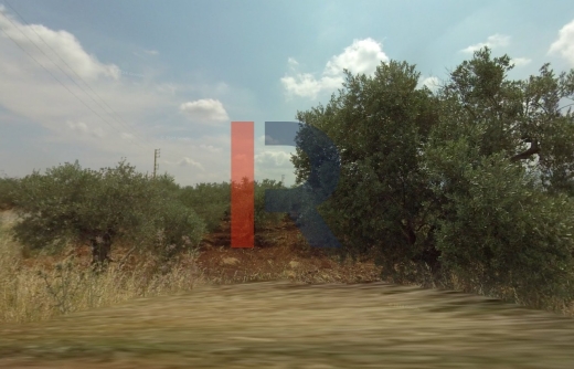 R9-1445 Land for Sale in Btorram-Koura - 1084 sqm!