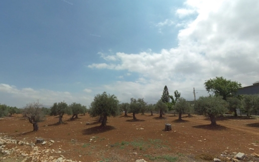 R9-1680 Exceptional 1077 sqm Land for Sale in Barsa Koura