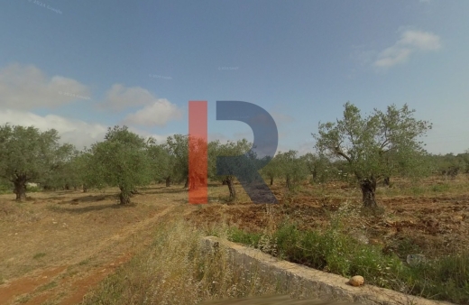 R9-1784 An industrial land for sale in Kfarkaa - Koura