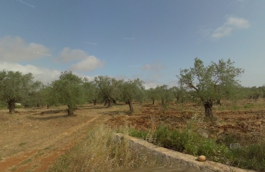 R9-1784 An industrial land for sale in Kfarkaa - Koura