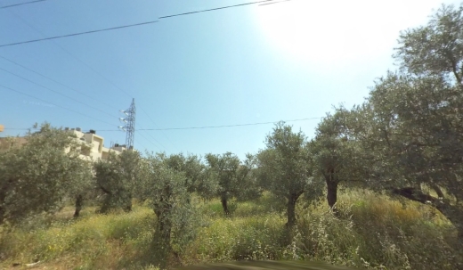 R9-1816 Land 1195m for Sale in Kousba - Koura