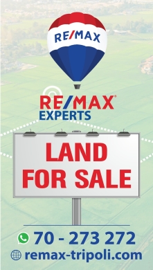 R9-2056 Land for Sale in Nakhleh, Koura