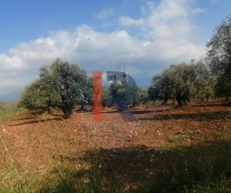 R9-2123 Land 3187m for sale in Alma - Denniyeh Road