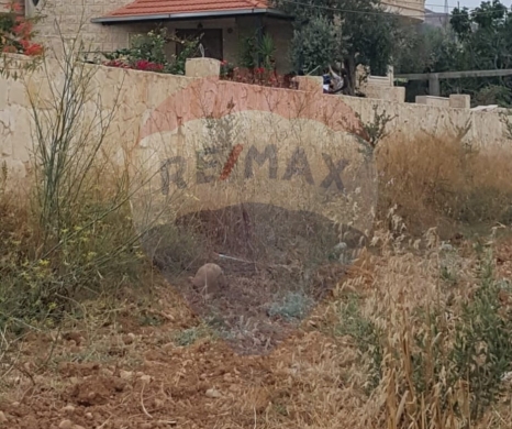 R9-2302 Land 8160m for sale in Jdaideh – Akkar, Planted with Olive Trees