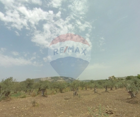 R9-2485 Industrial Land for Sale in Anfeh – Chekka – 7,382 m²أرض صناعية للبيع في أنفه – شكا – 7,382 متر مربع