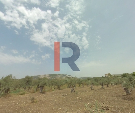 R9-2485 Industrial Land for Sale in Anfeh – Chekka – 7,382 m²