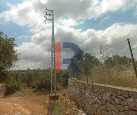 R9-2499 Land 4970m² for Sale in Nakhleh – Koura