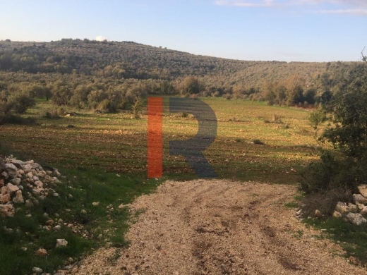 R9-99 Land 8,694 sqm, for Sale in Bayno, Akkar