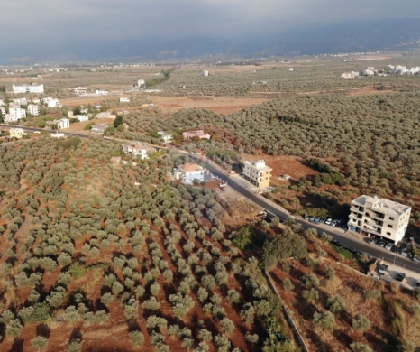 R9-1168 Prime Land for Sale in Aaba Koura | 2,905 m² | 25/50 Zoning Investment Opportunityأرض للبيع في عابا الكورة | 2,905 م² | تصنيف 25/50 وفرصة استثمارية مميزة