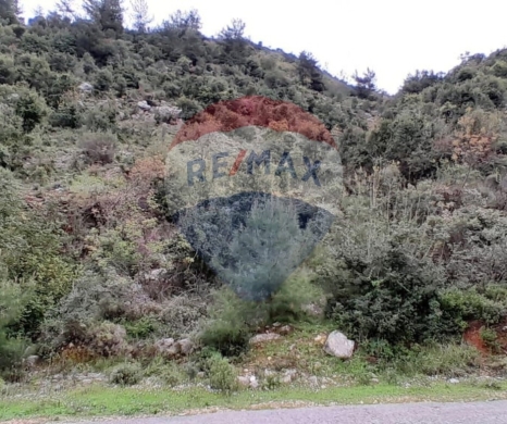R9-2355 Land for sale in Danniyeh – North Lebanon