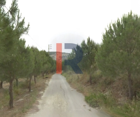 R9-2522 Land 23,077m² for Sale in Barghoun – Koura