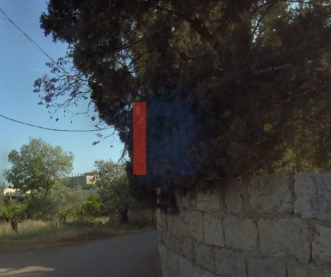 R9-2625 Land for Sale – Nakhleh, Koura