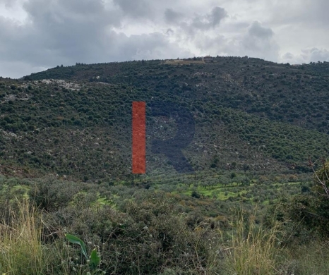 R9-2672 Land for Sale – Bhabbouch, Koura