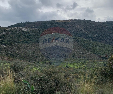 R9-2672 Land for Sale – Bhabbouch, Koura