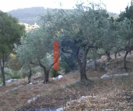 R9-2694 Land for Sale – Sourat, Batroun