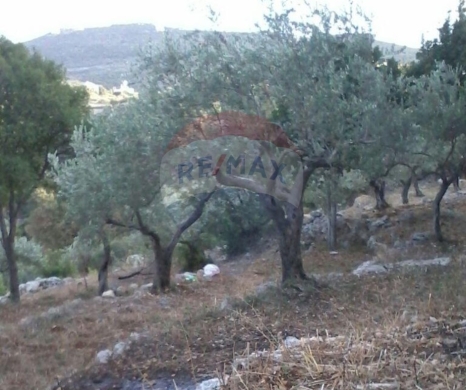 R9-2694 Land for Sale – Sourat, Batroun