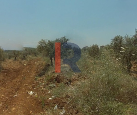 R9-2762 Development Land For Sale Near Jinan University