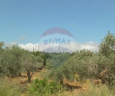 R9-2841 Residential Land for Sale in Nakhleh – 1,250 m²