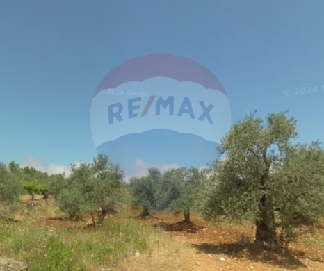 R9-2871 Land for Sale in Nakhleh Koura – 1255 m² with Zoning 30/90