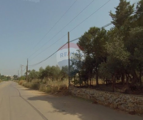 R9-2906 Land for Sale in Abou Samra Tripoli – 14,200 m² Residentia