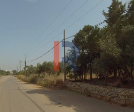 R9-2906 Land for Sale in Abou Samra Tripoli – 14,200 m² Residentia