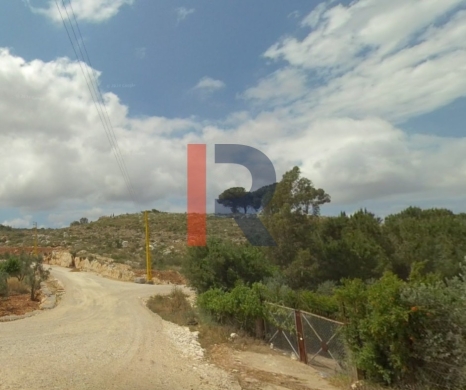 R9-2970 Land for Sale in Nakhkleh Koura – 1,525 m² Residential 20/40 with Road, Electricity & Water