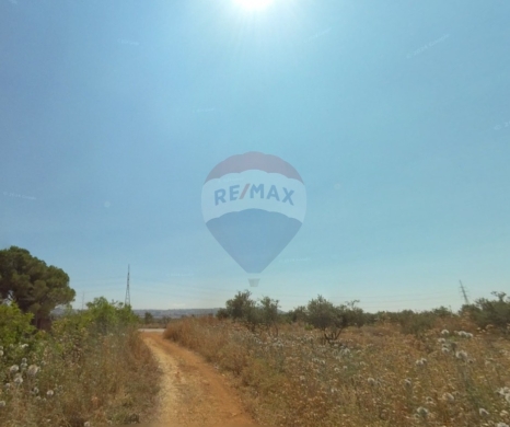 R9-3016 Land for Sale in Abou Samra Tripoli – 1,627 m² with Road, Electricity & Water